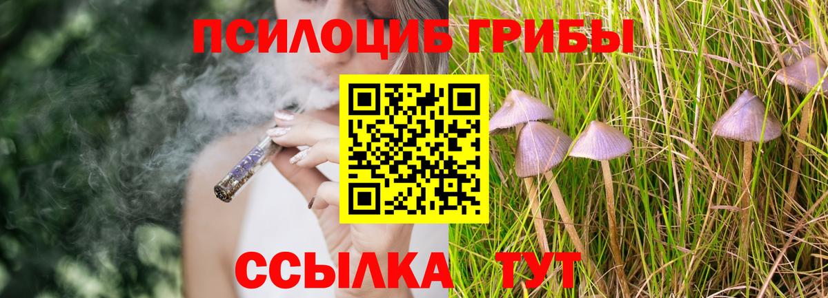 где продают   Вход с VPN  Губкин  Псилоцибиновые грибы ЛСД 