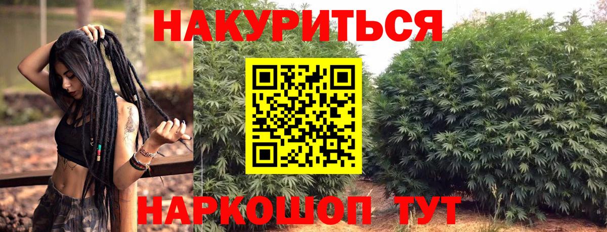 Шишки марихуана планчик  Бошки Шишки SATIVA & INDICA  Губкин  МАРИХУАНА индика  Вход с VPN  Бошки Шишки Amnesia 
